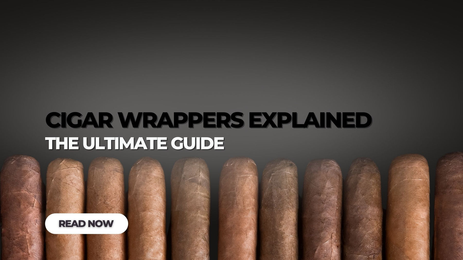 Cigar Wrapper Types Explained
