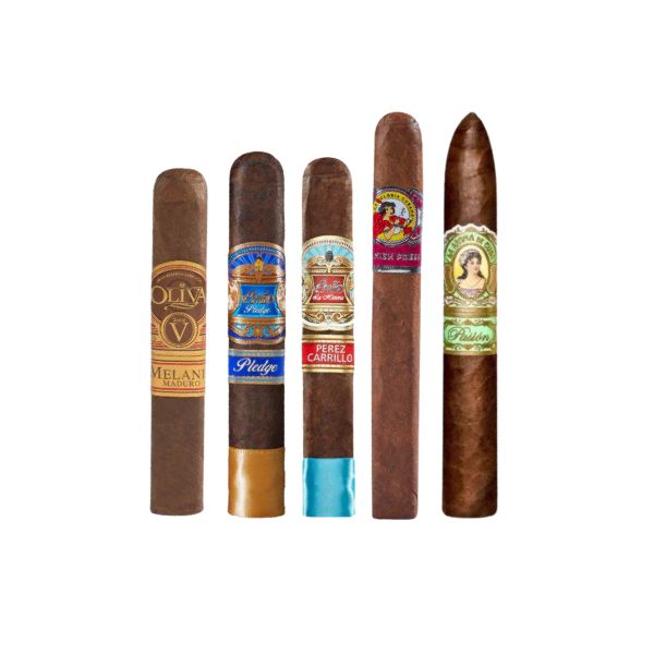Five unique, handcrafted cigars from After Action Cigars' Box Pressed Beauties Sampler stand upright in a row, each sporting distinct labels and colorful bands—an ideal pick for any cigar sampler collection.