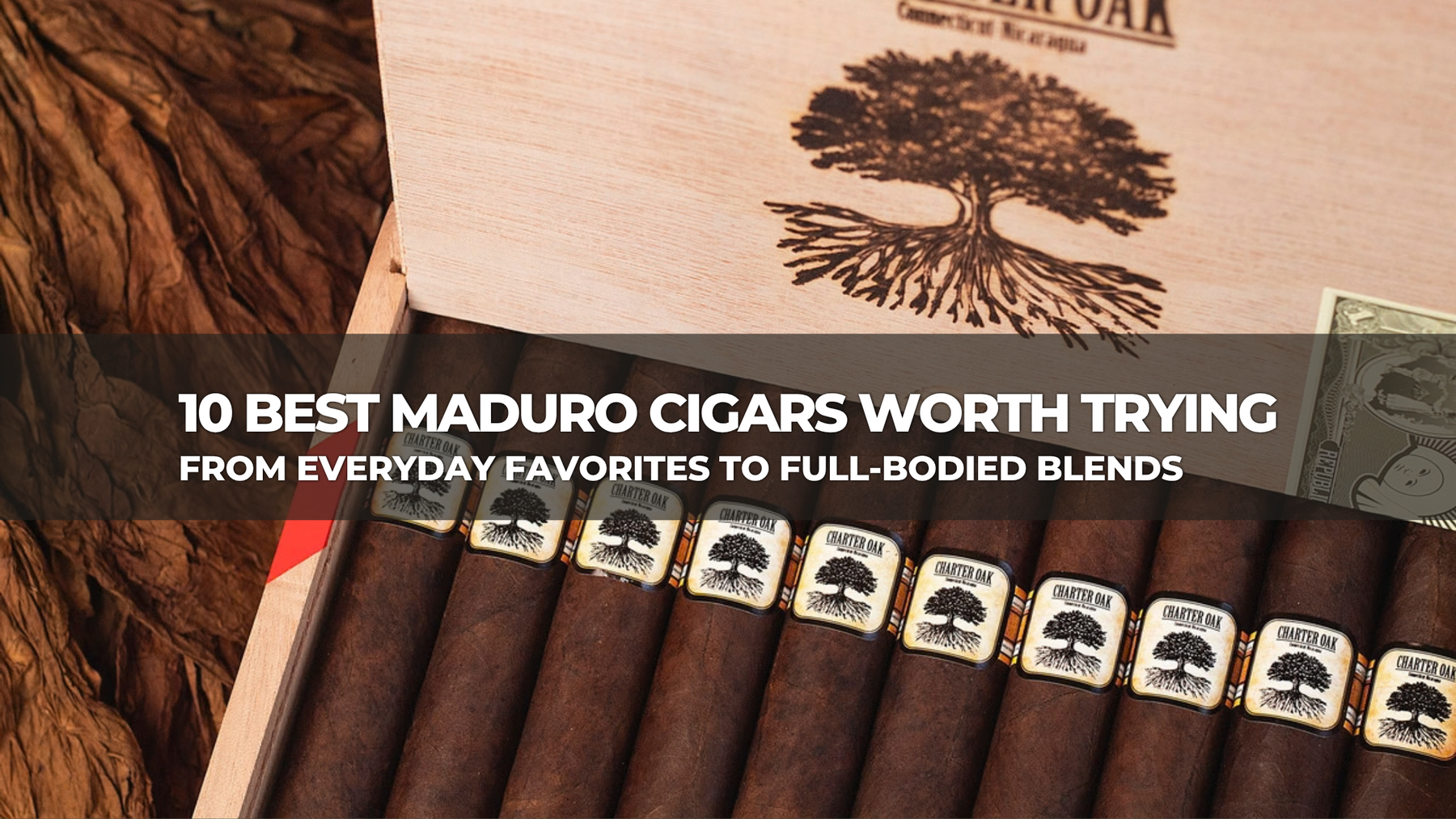 10 Best Maduro Cigars Worth Trying