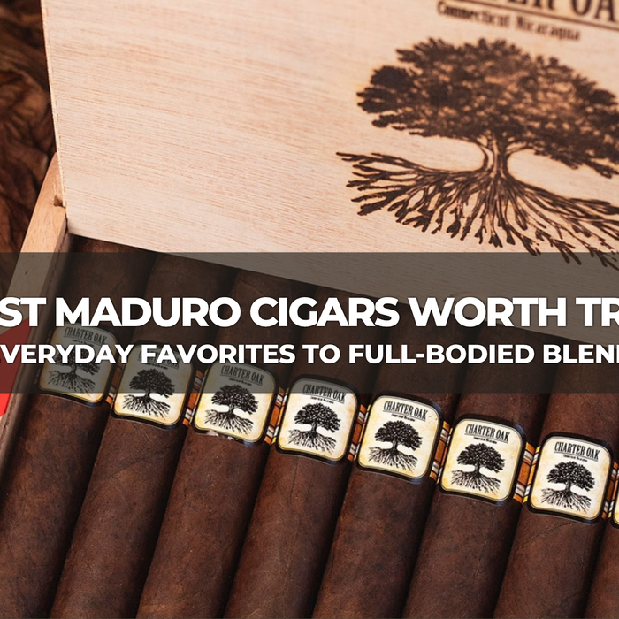 10 Best Maduro Cigars Worth Trying