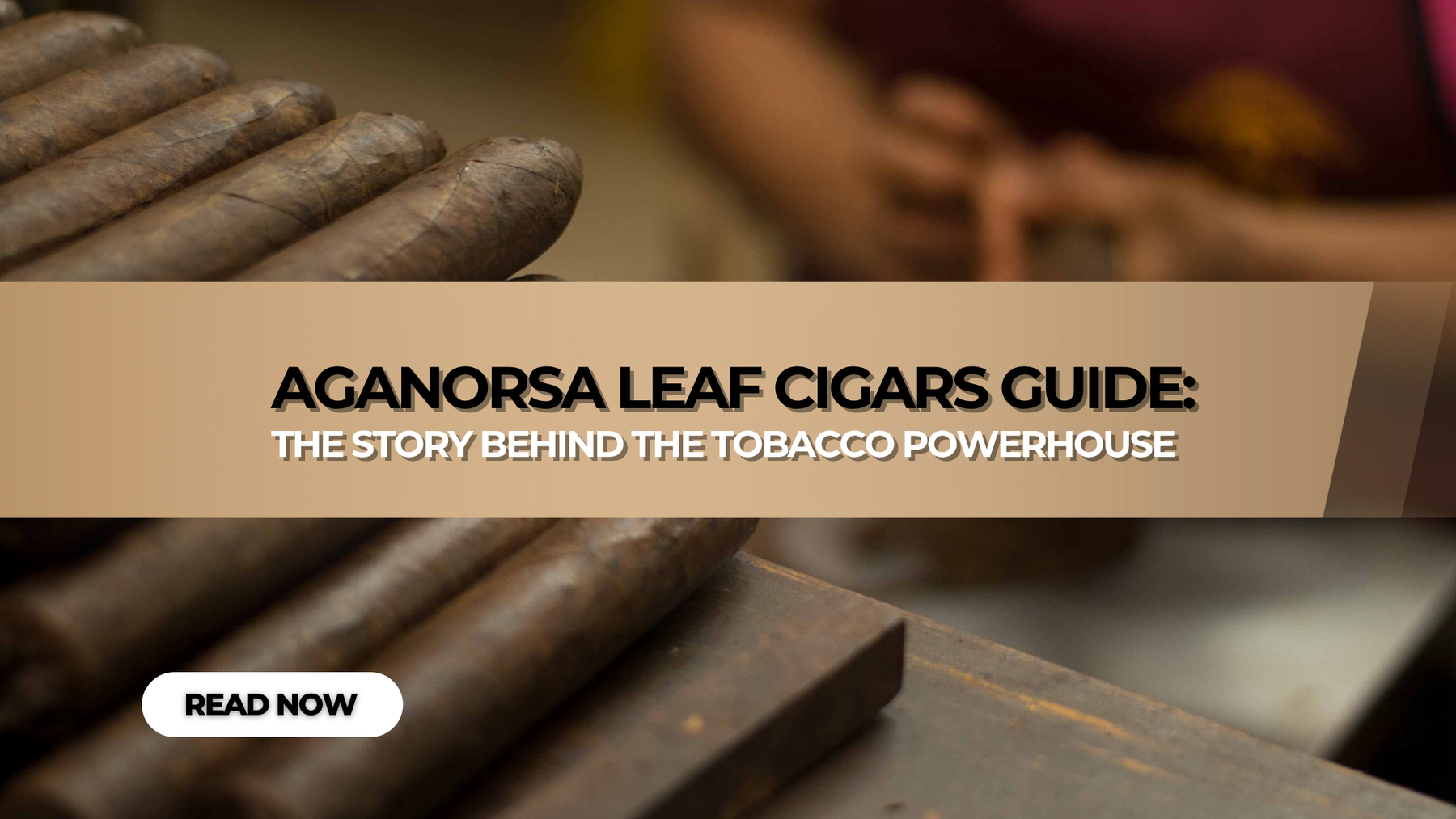 Aganorsa Leaf Cigars Guide