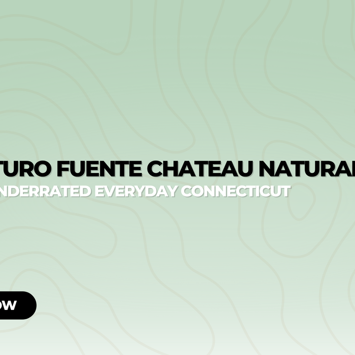 Arturo Fuente Chateau Natural Review