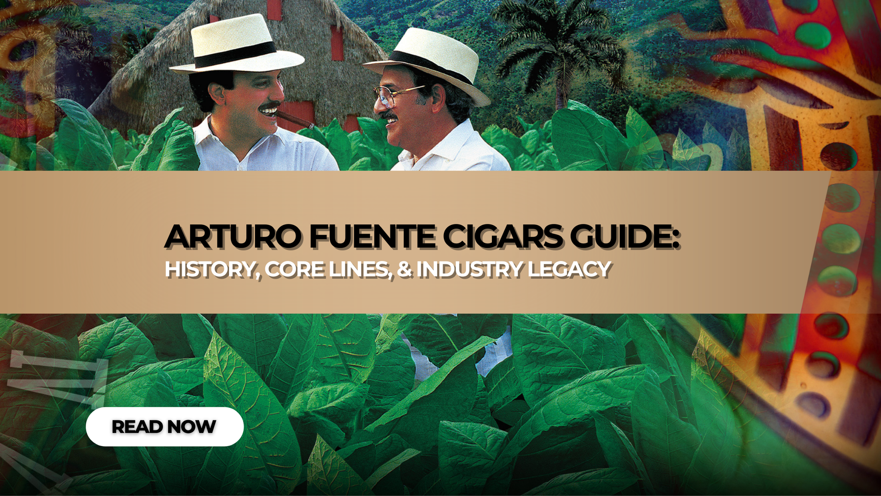 Arturo Fuente Cigars Guide