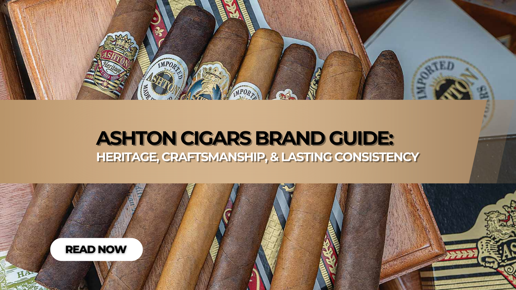 Ashton Cigars Brand Review