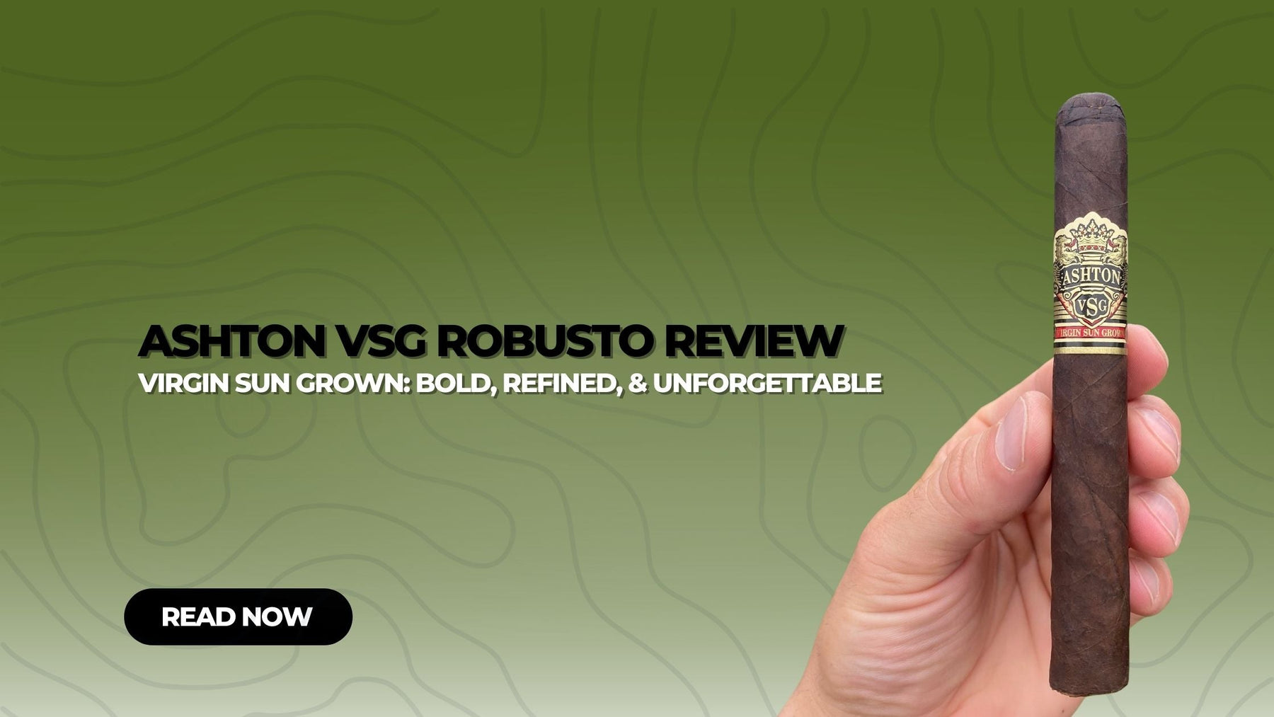 Ashton VSG Robusto Review