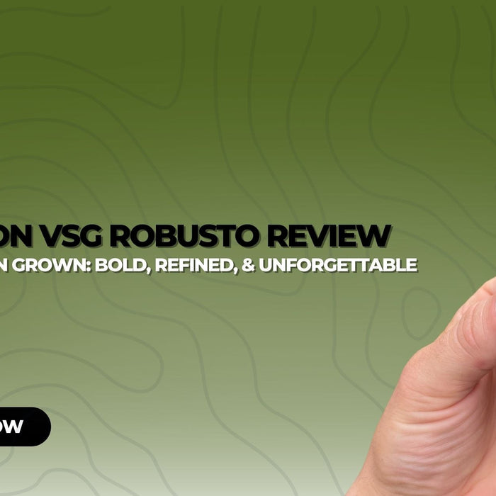 Ashton VSG Robusto Review