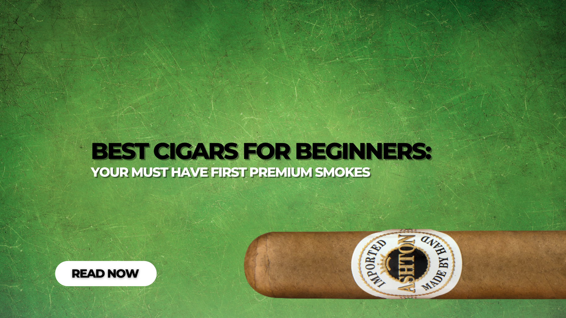 Best Cigars for Beginners