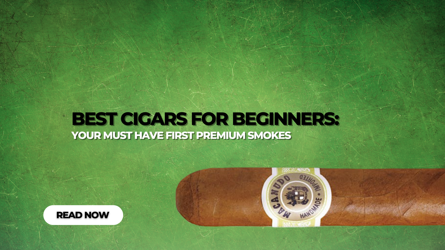 Best Cigars for Beginners