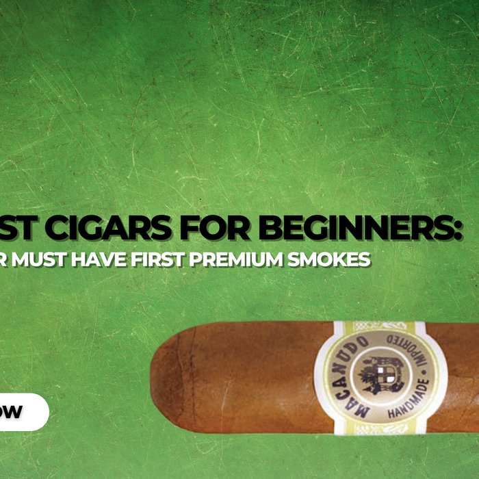 Best Cigars for Beginners