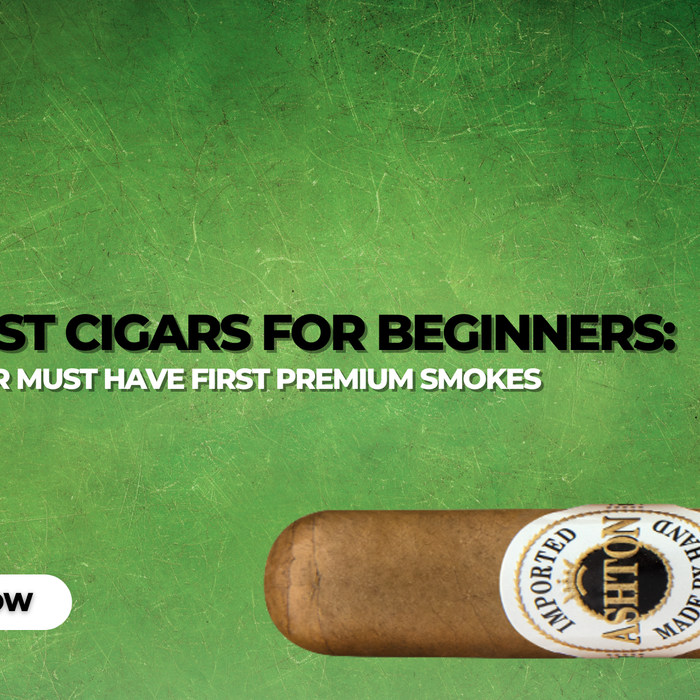 Best Cigars for Beginners