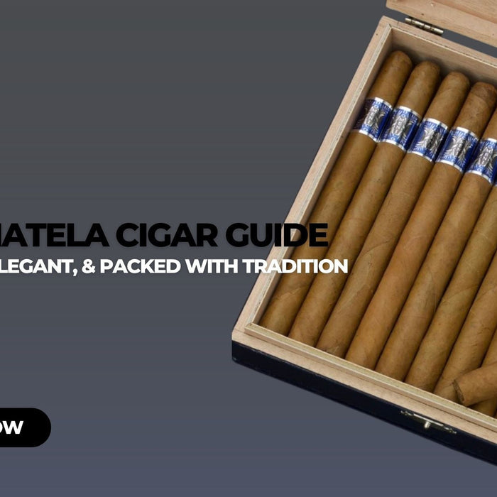 Panatela Cigar Guide