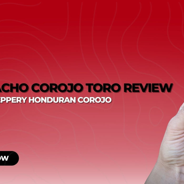 Camacho Corojo Toro Review