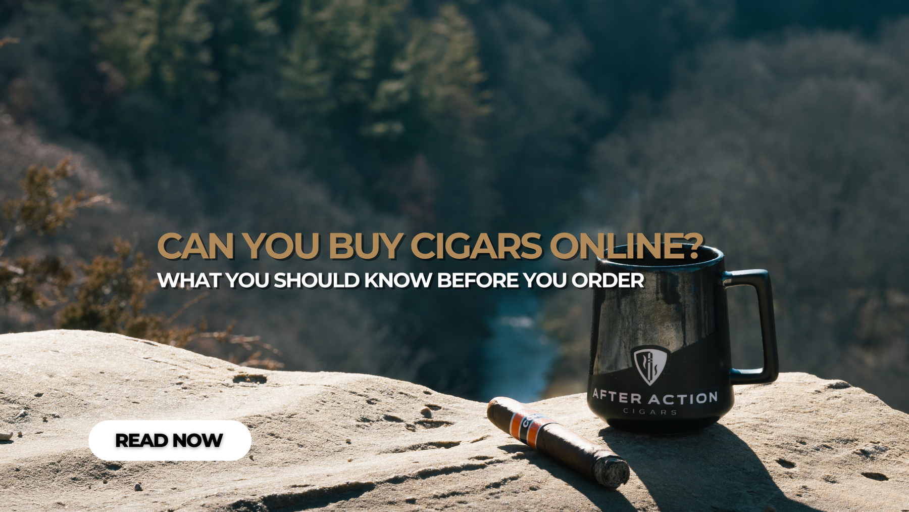 Can You Buy Cigars Online? A Practical Guide