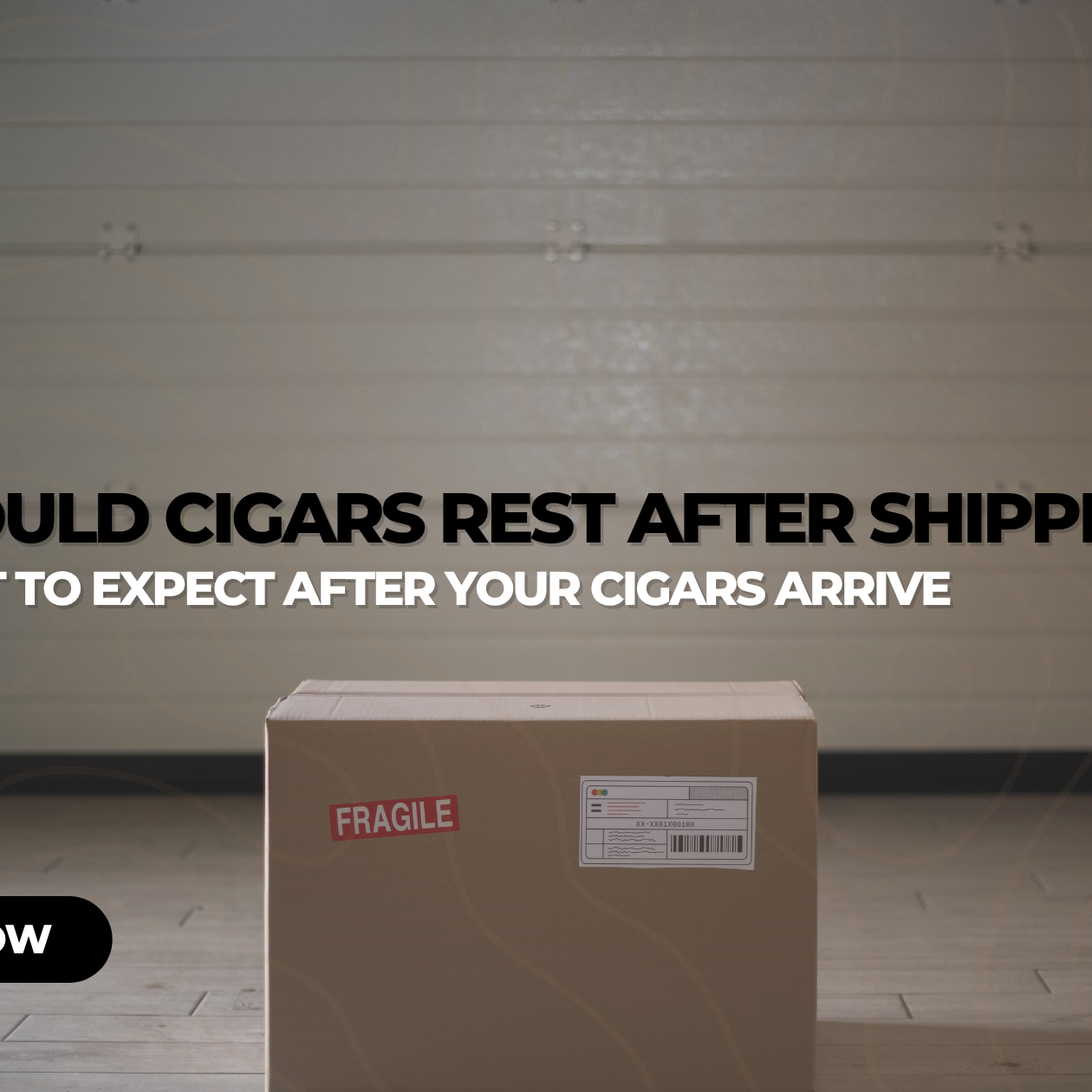 Cigar 101: A Beginner’s Guide to Premium Cigars