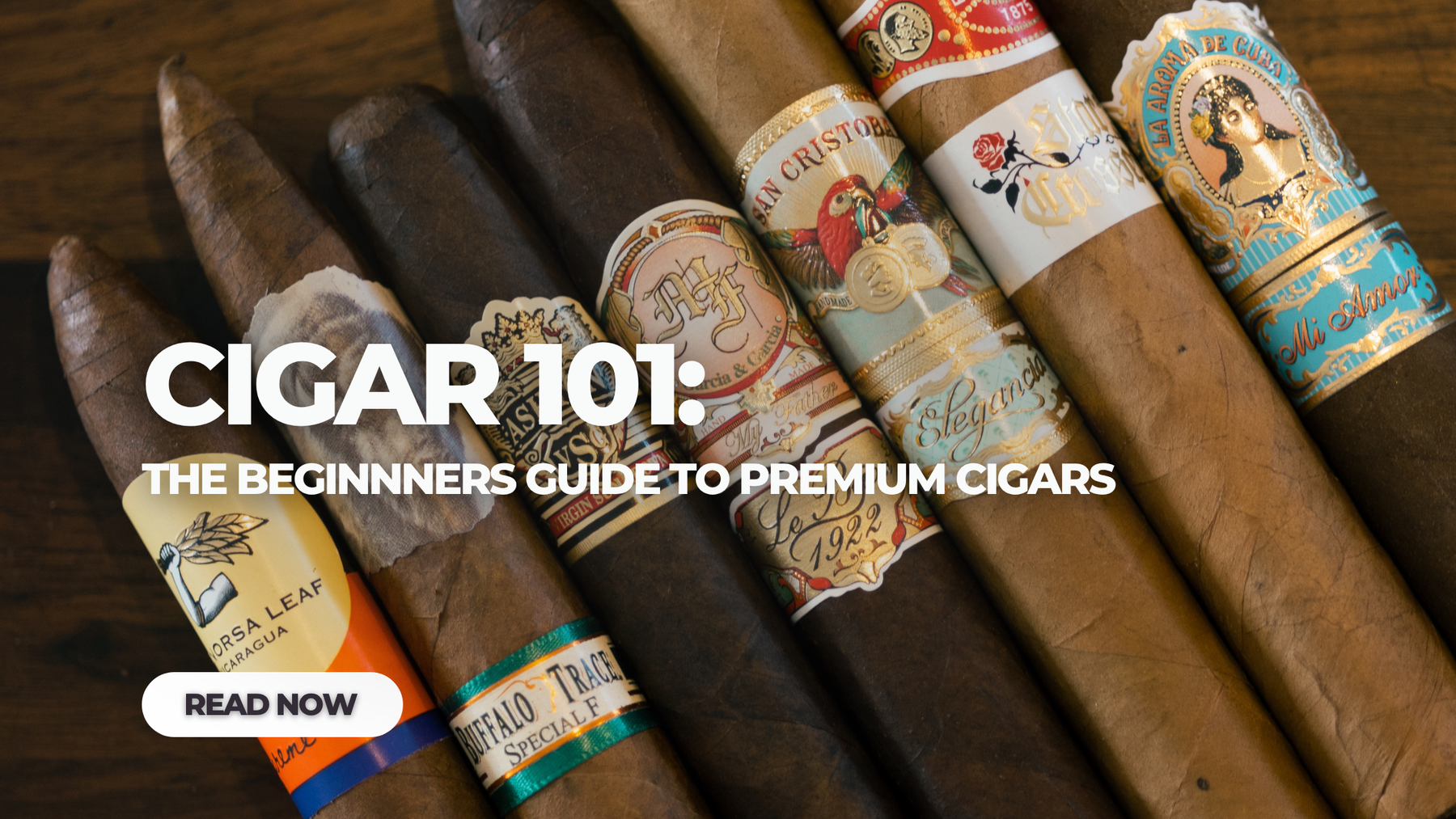 Cigar 101 The Beginner’s Guide