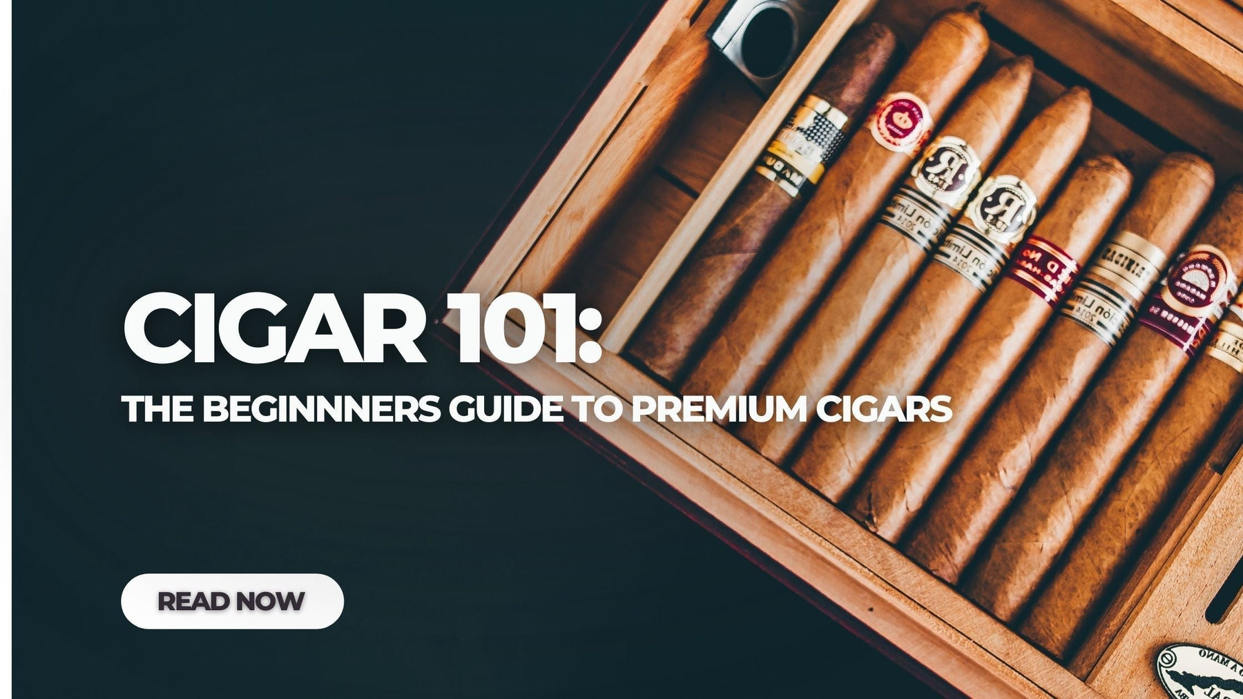 Cigar 101_ The Beginner’s Guide