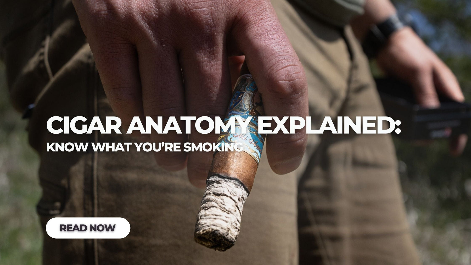 Cigar Anatomy Explained