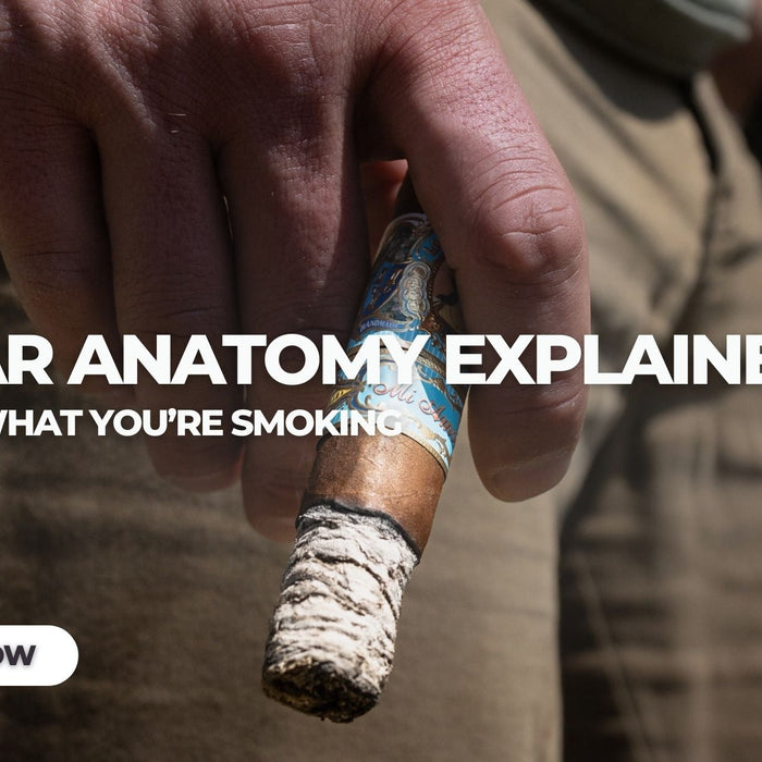 Cigar Anatomy Explained