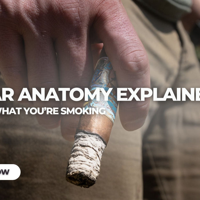 Cigar Anatomy Explained 