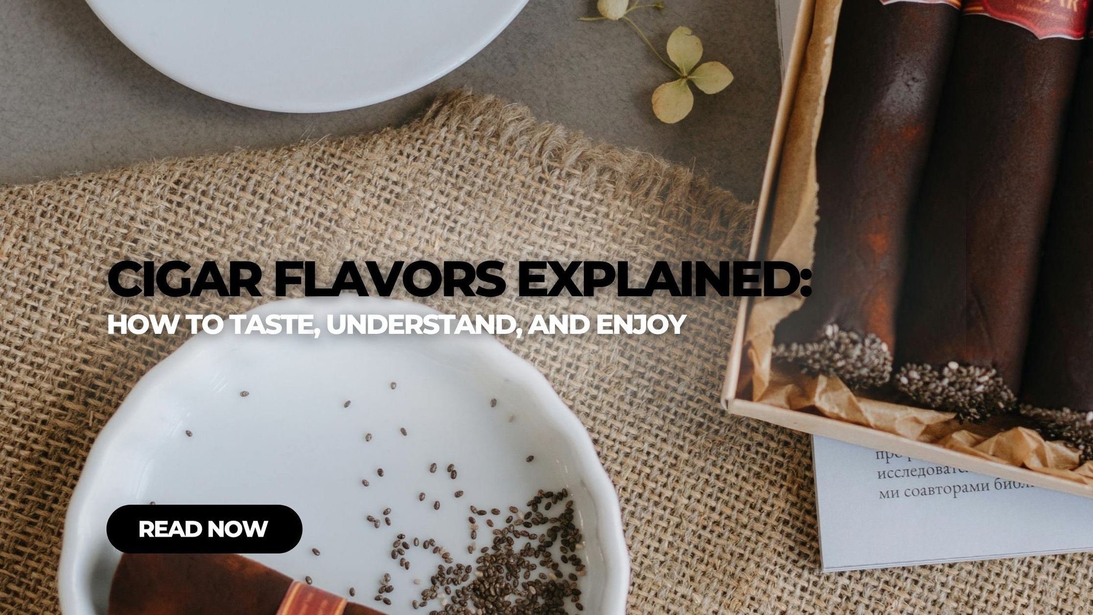 Cigars Explained Cigar Flavors Explained: How to Taste, Understand & Enjoy