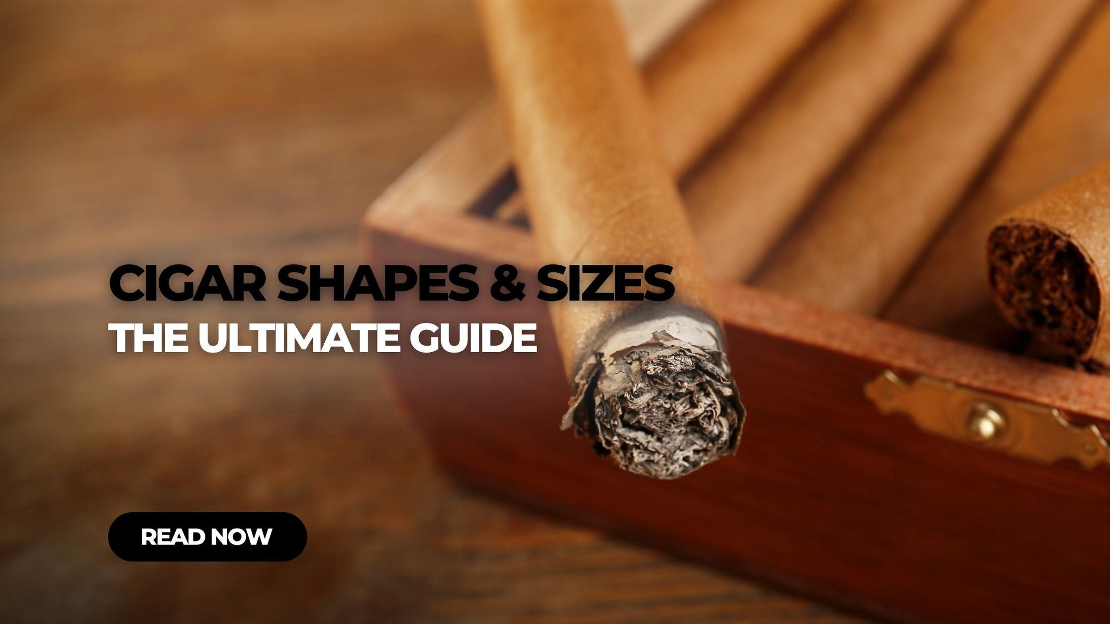 Cigar Shapes & Sizes Guide: Every Vitola Explained