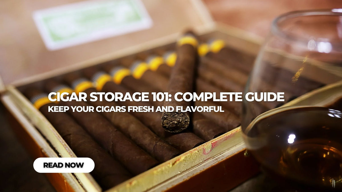 Cigar Storage 101: Keep Cigars Fresh & Flavorful