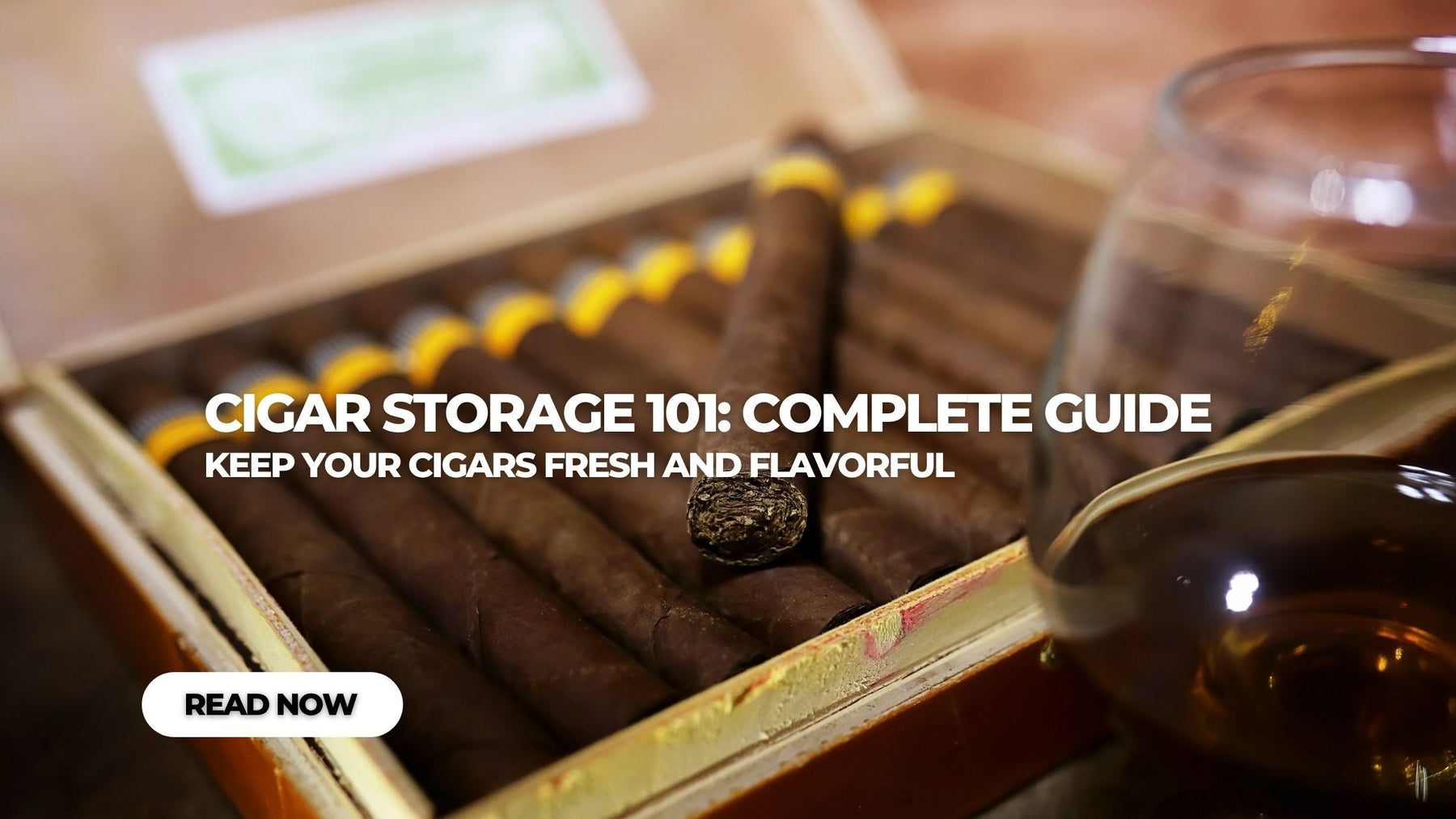 Cigar Storage 101