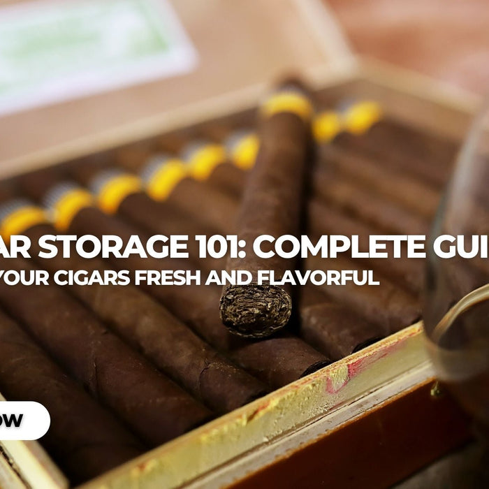 Cigar Storage 101