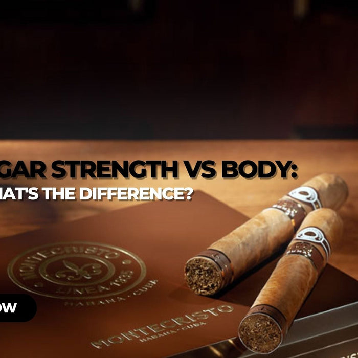 Cigar Strength vs Body