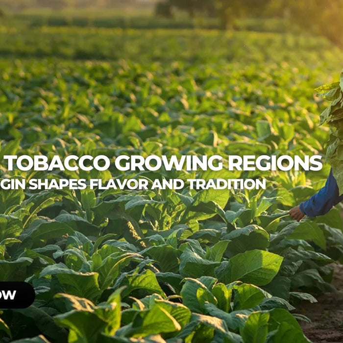 Cigar Tobacco Growing Regions