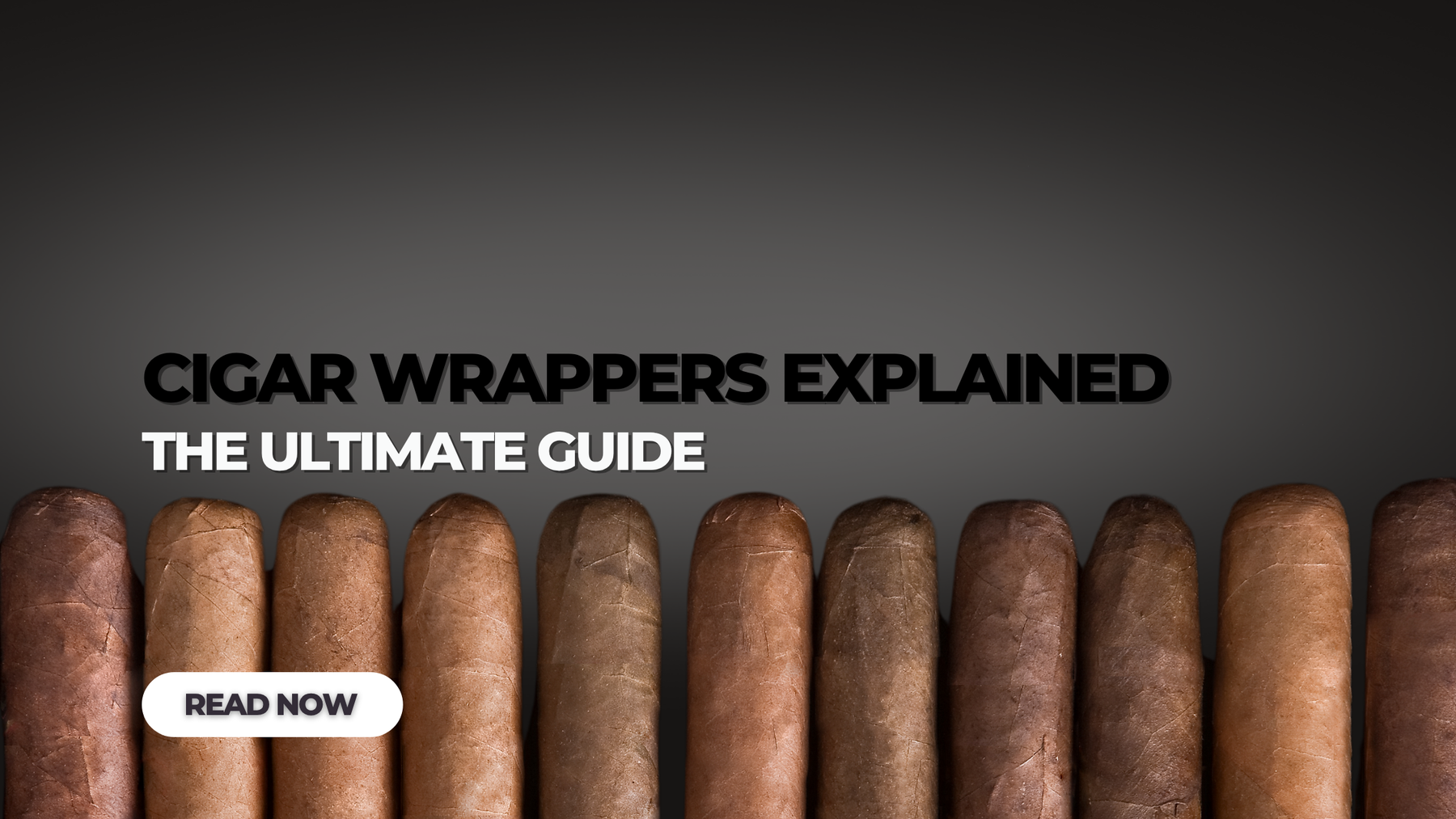 Cigar Wrapper Types Explained