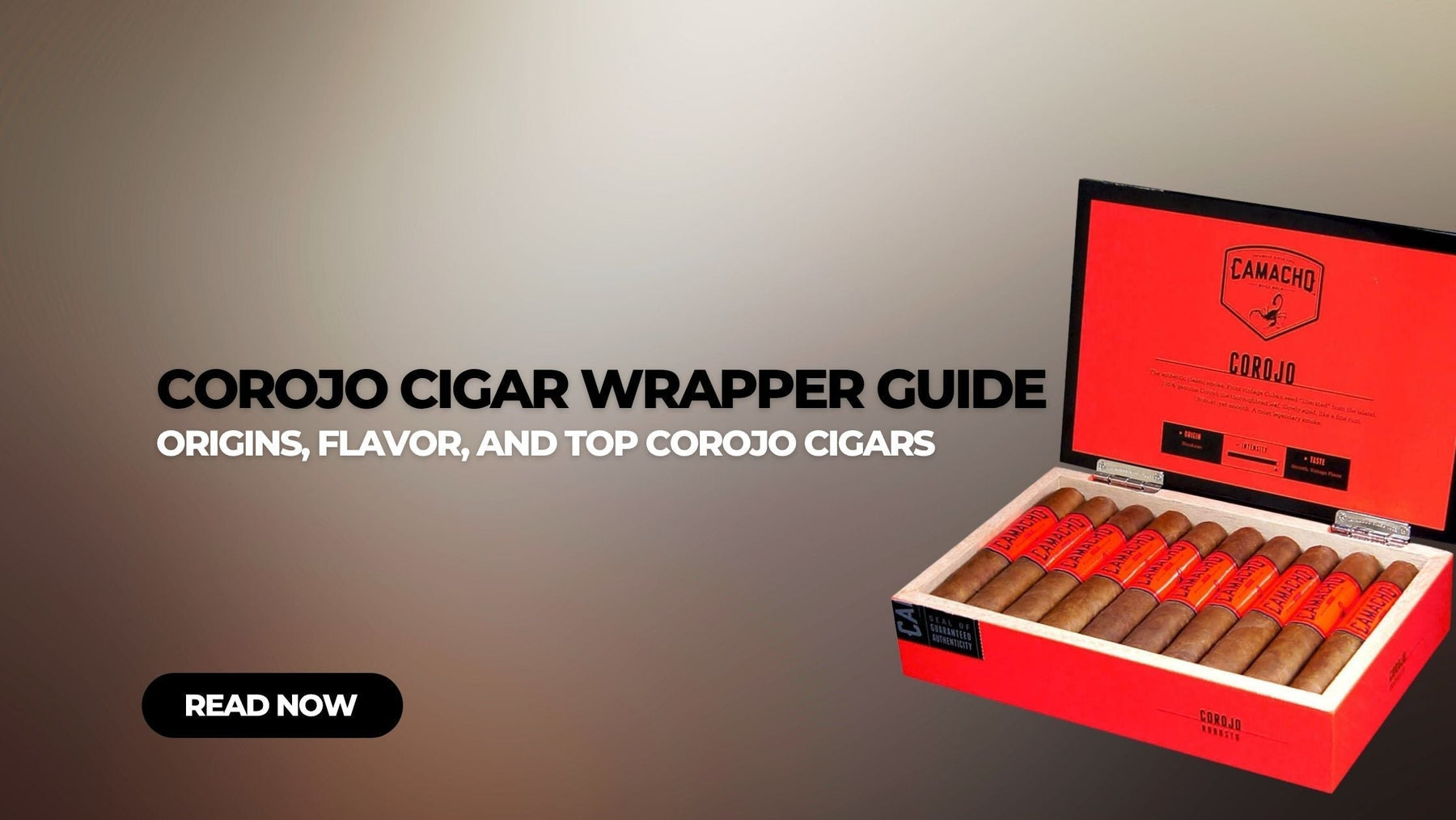Corojo Cigar Wrapper Guide