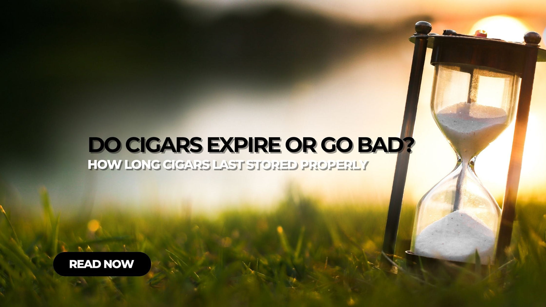 Do Cigars Go Bad or Expire