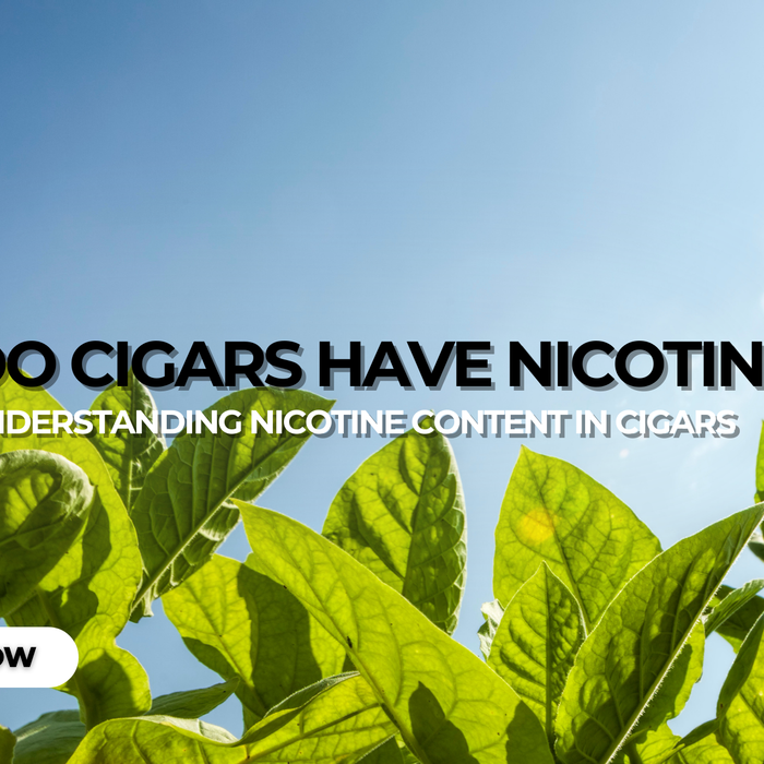 Do Cigars Have Nicotine
