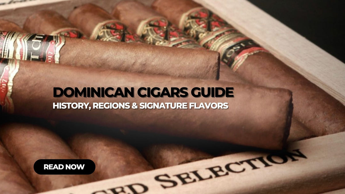 Dominican Cigars – History, Regions & Best Brands