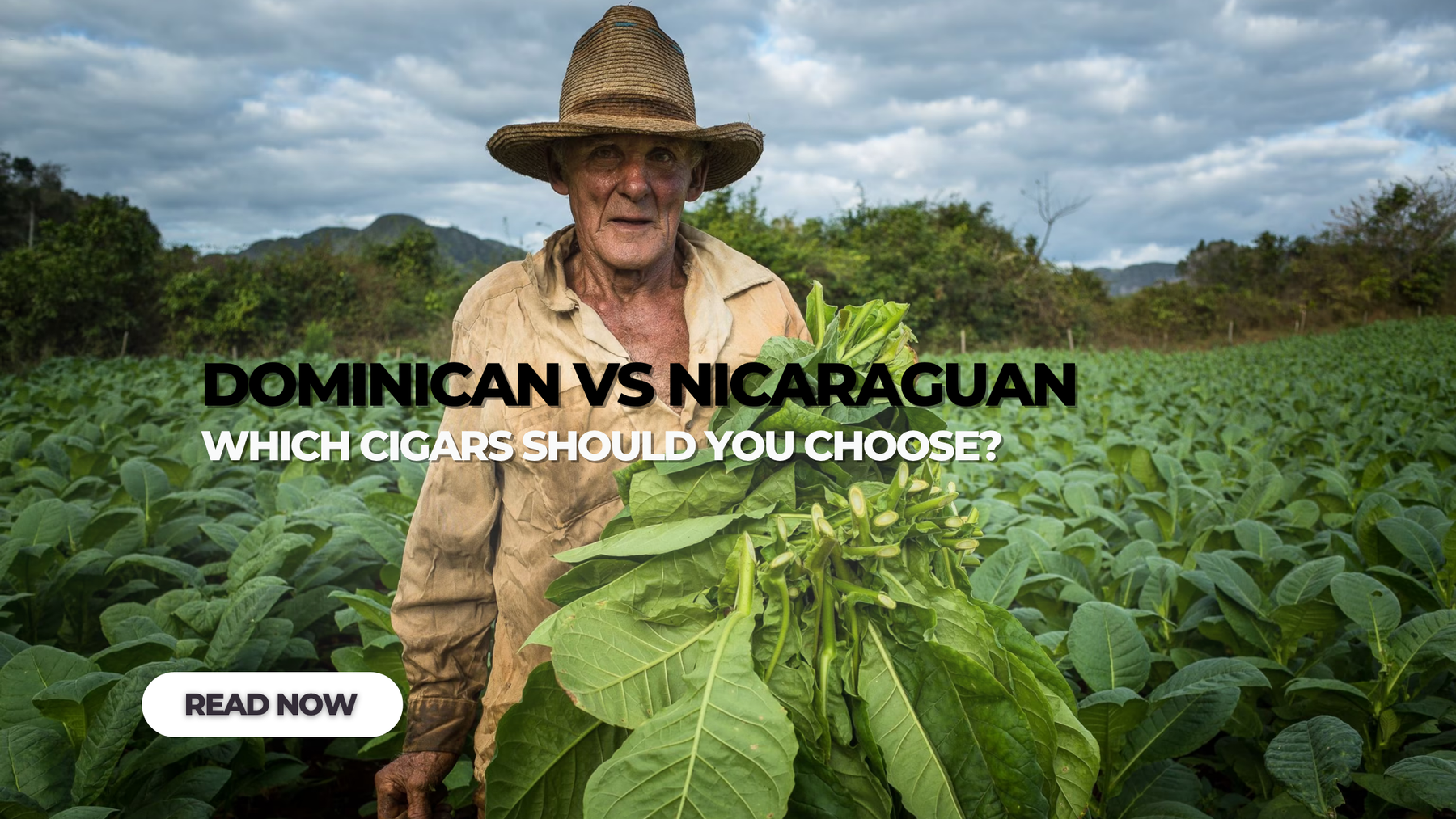 Dominican vs Nicaraguan Cigars