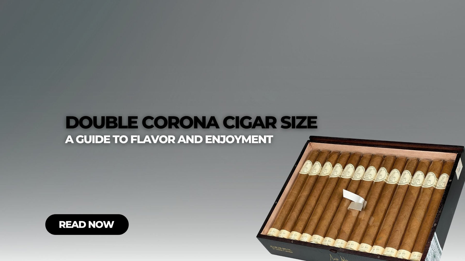 Double Corona Cigar Size