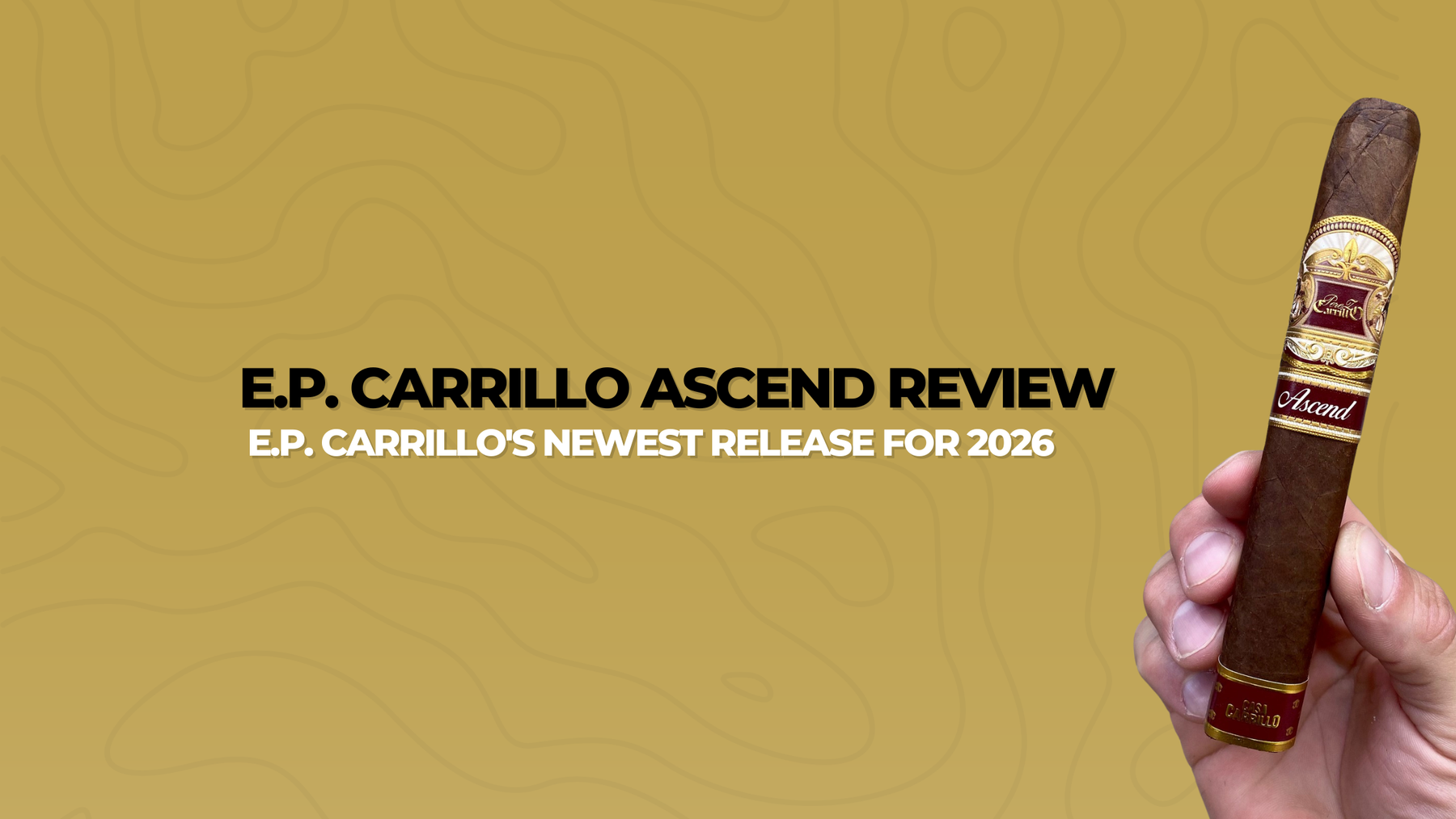 EP Carrillo Ascend Review