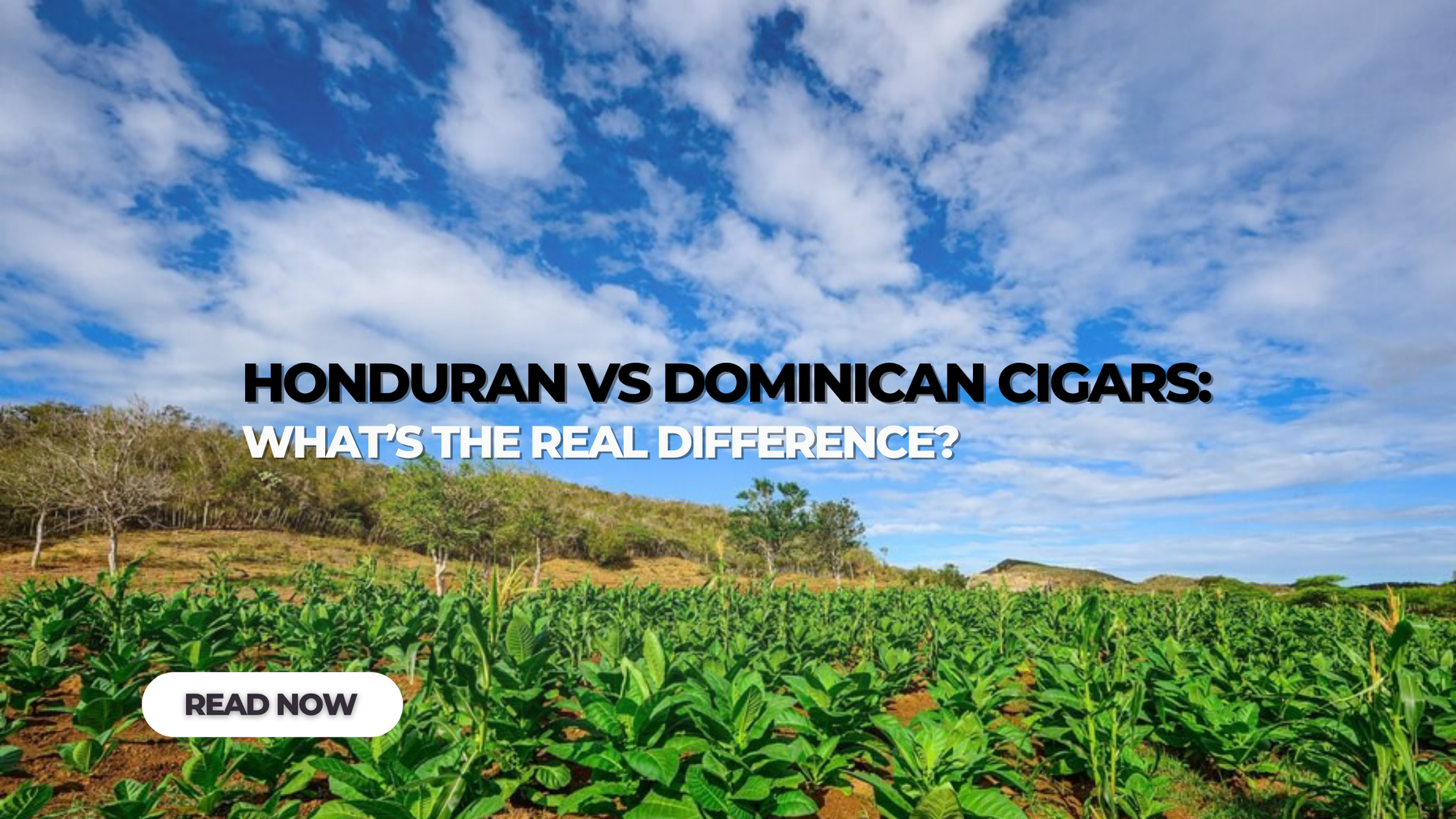 Honduran vs Dominican Cigars