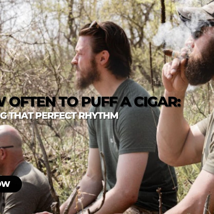 How Often to Puff a Cigar