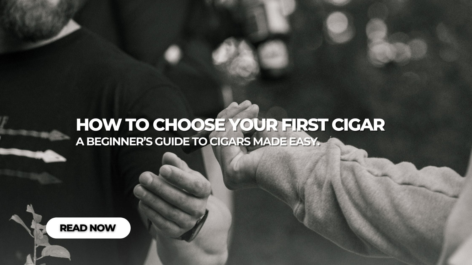 How To Choose Your First Cigar