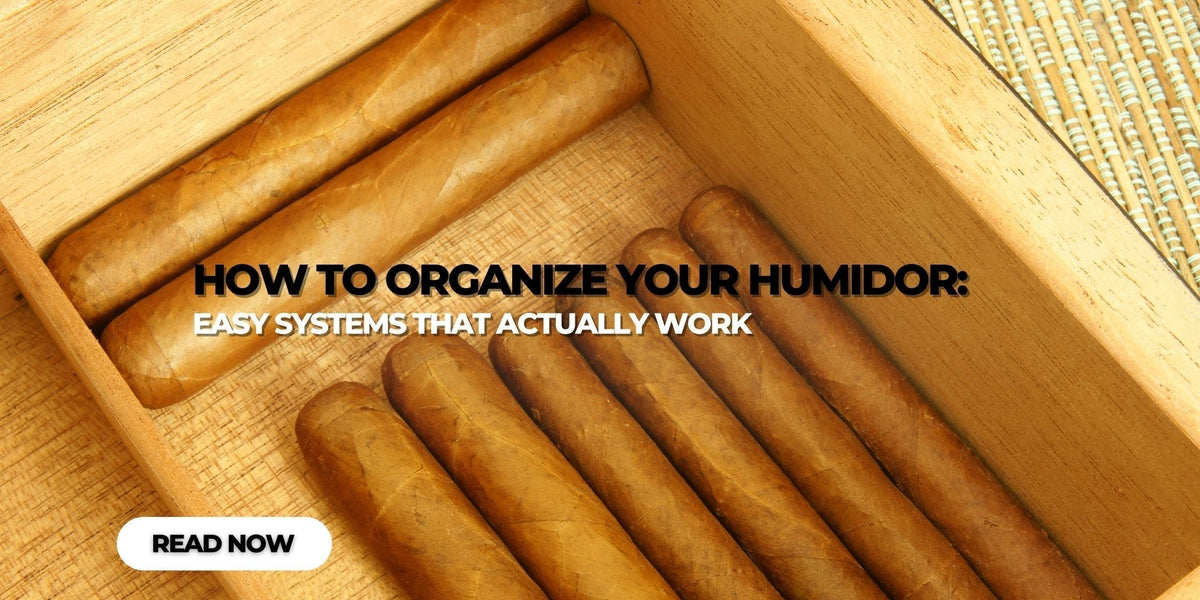 Cigar Storage Made Simple: Organize Your Humidor
