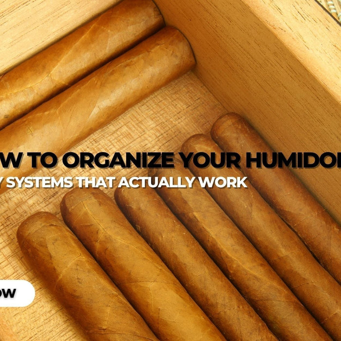 How to Organize Cigars in Your Humidor