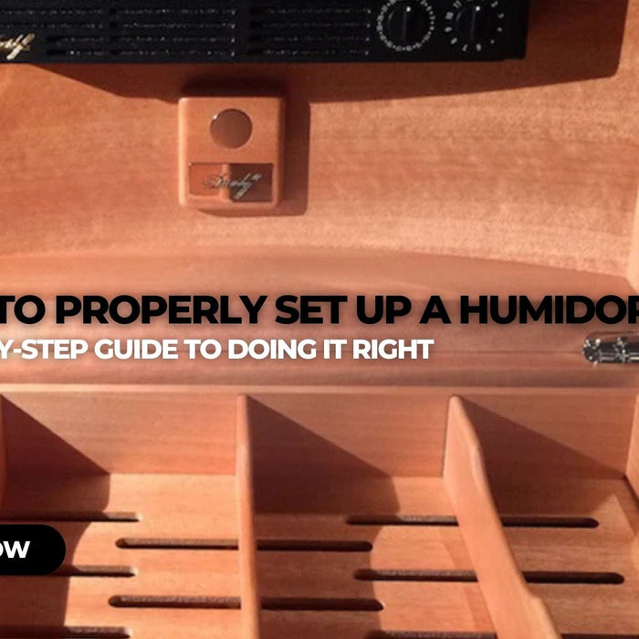 How to Properly Set Up a Humidor