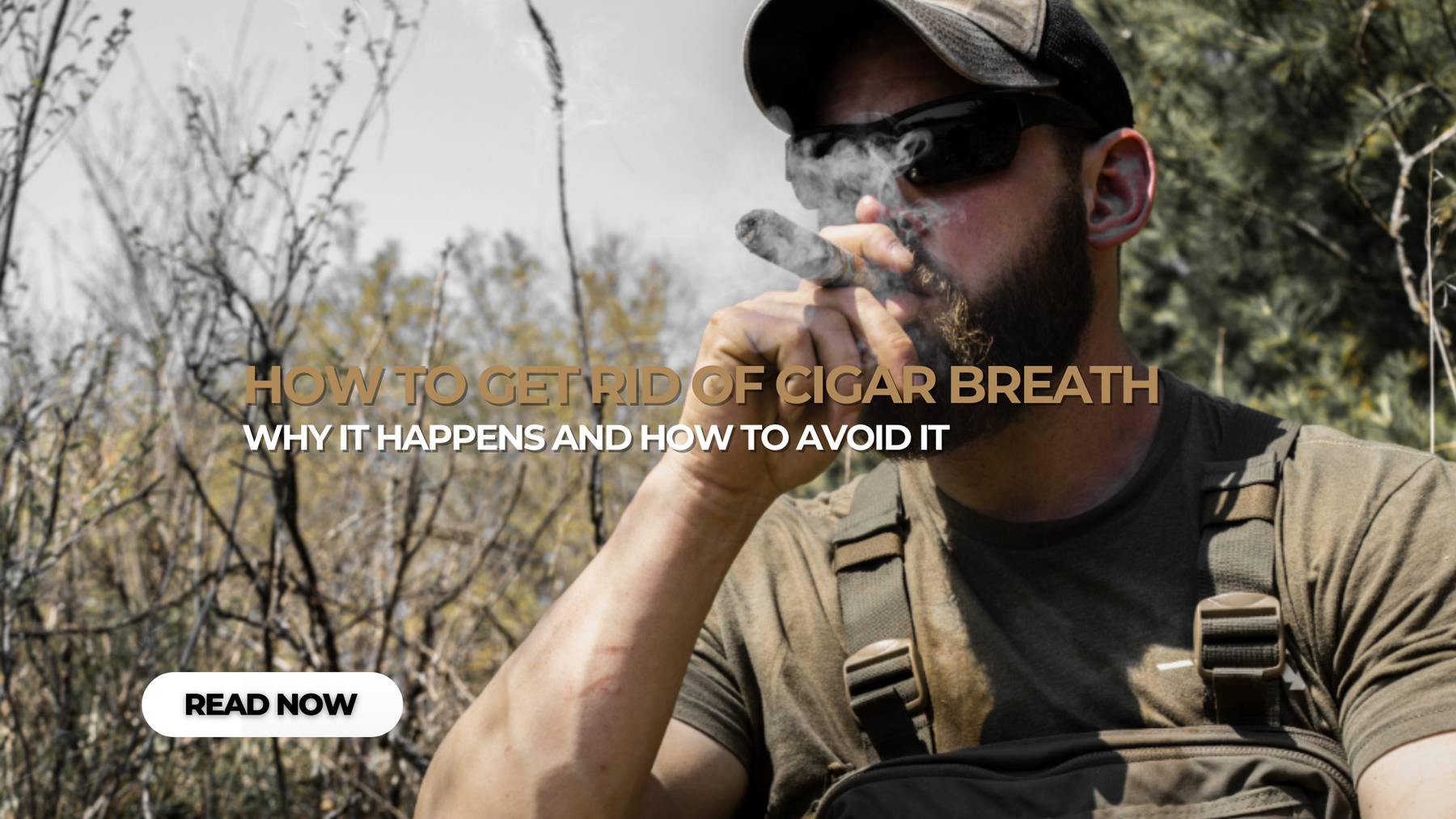 How to get rid of Cigar Breath