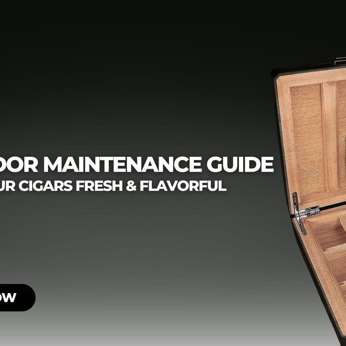 Humidor Maintenance Guide