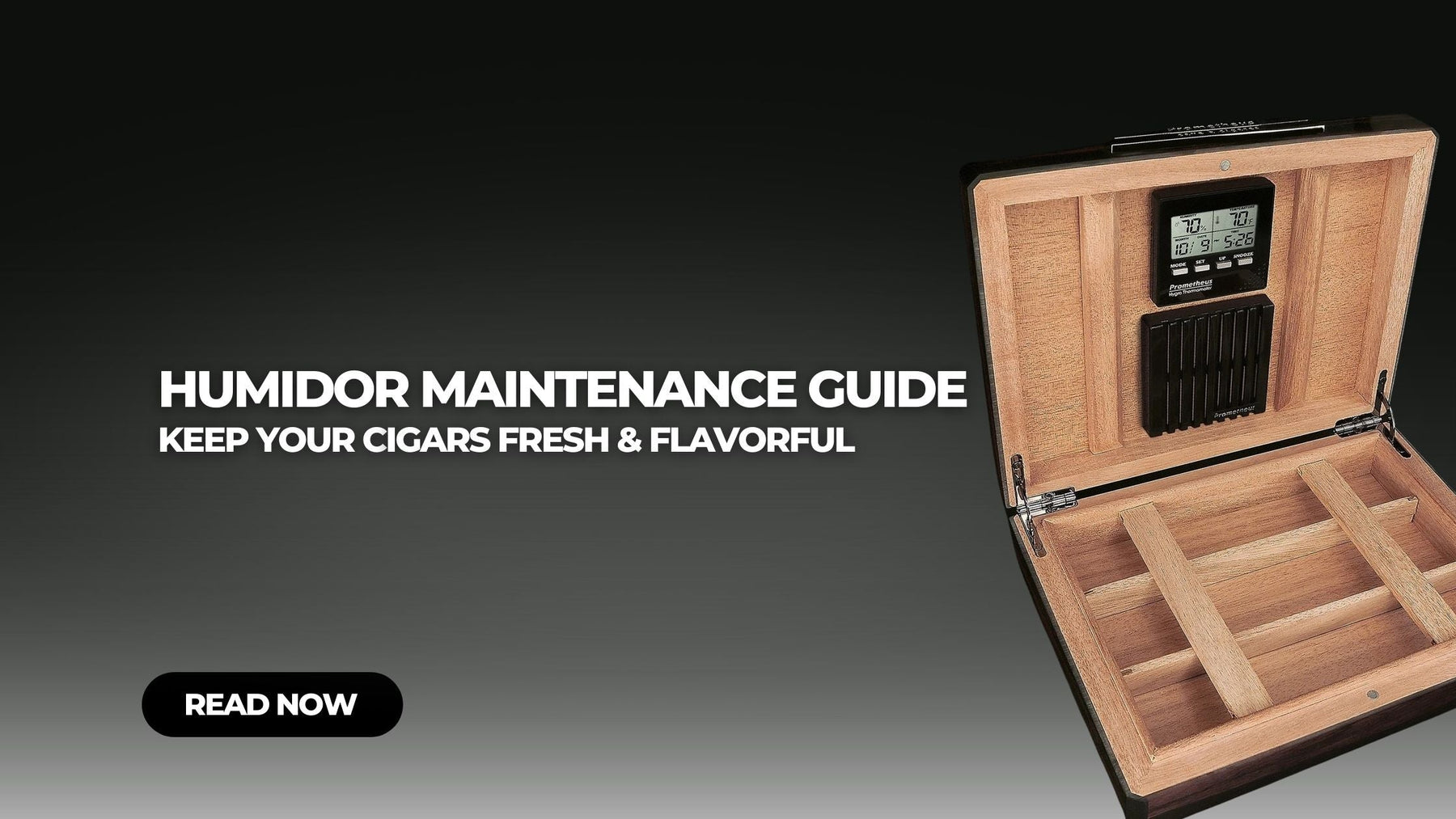 Humidor Maintenance Guide