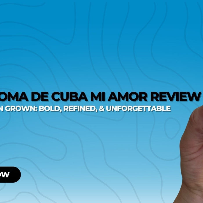 La Aroma de Cuba Mi Amor Review