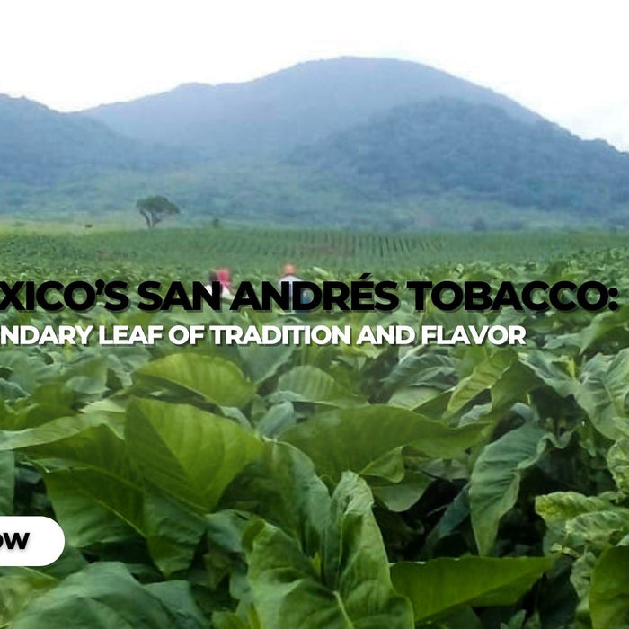 Mexico’s San Andrés Tobacco