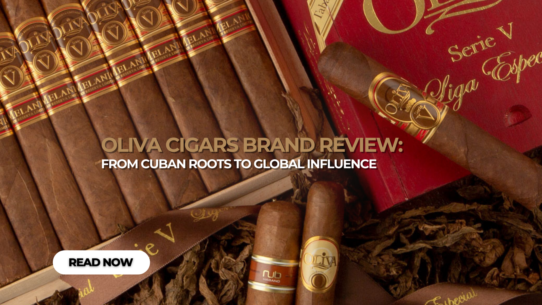Oliva Cigars Brand Review